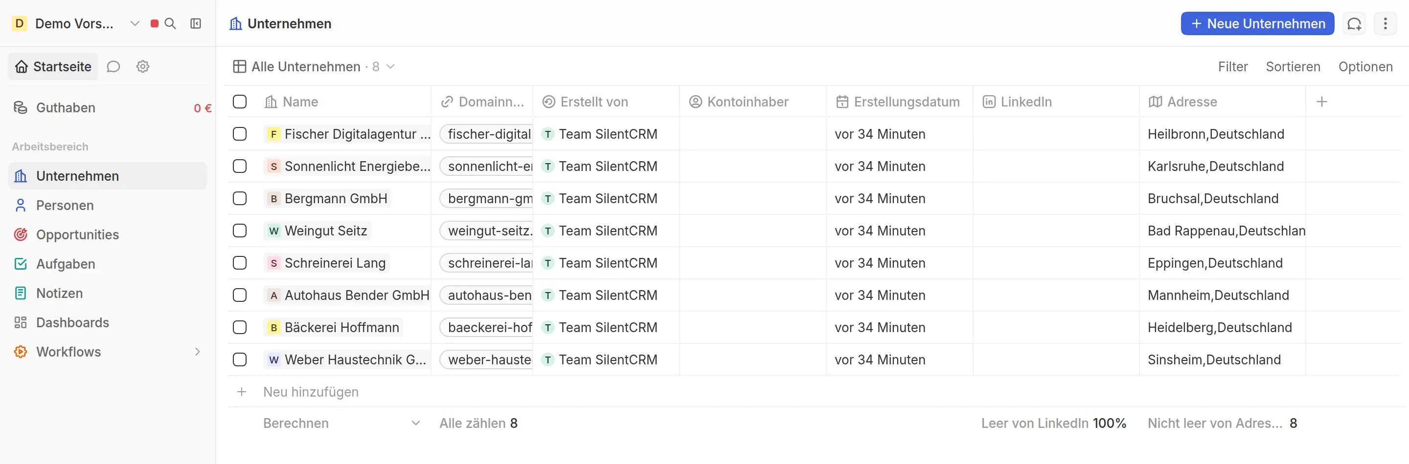 Unternehmensliste im SilentCRM-Arbeitsbereich: acht Firmen mit Domain, Adresse und Erstellungsdatum